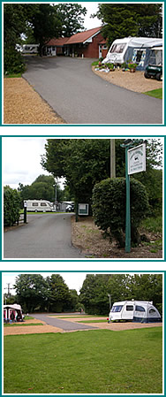 Views of the site